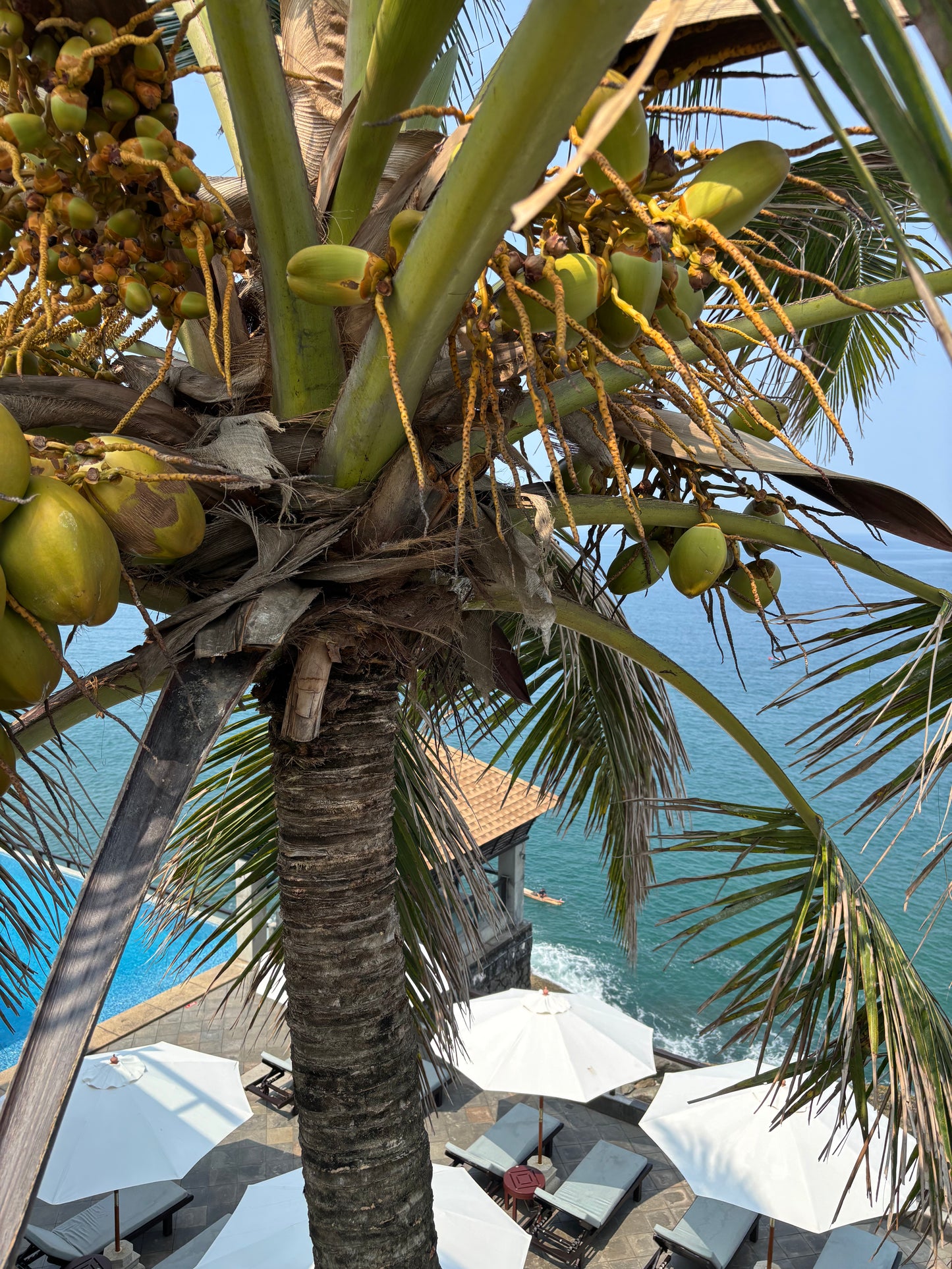 [1] INDIEN - KULTUR & LUXUSREISE ZUM SELBERBUCHEN  (über 60% KOSTENERSPARNIS)